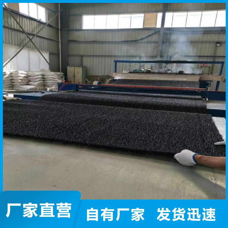 土工席垫防渗土工膜专心专注专业