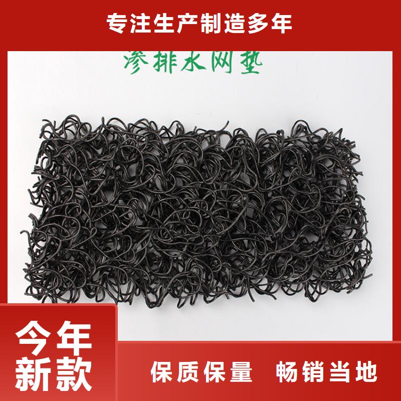 土工席垫HDPE土工膜来图来样定制