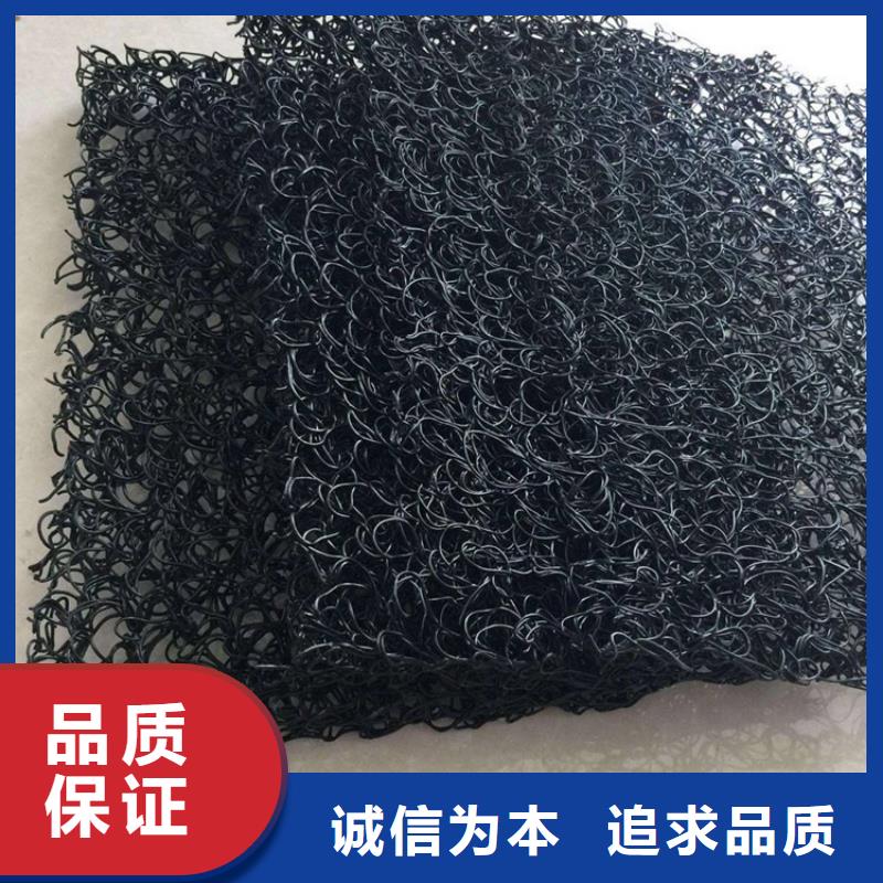 土工席垫HDPE土工膜来图来样定制
