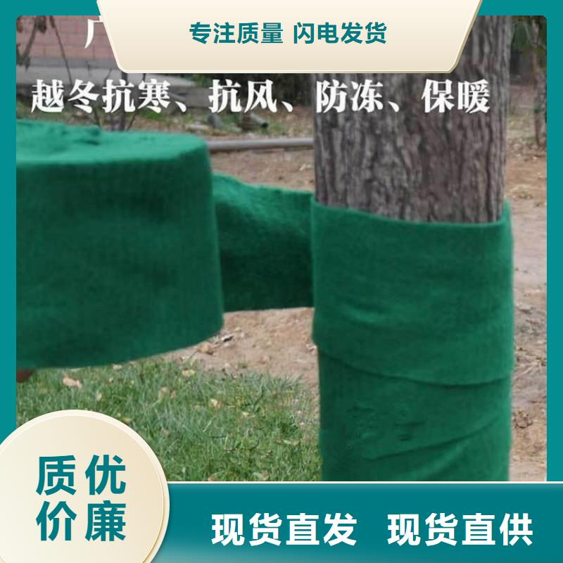 塑料盲沟-视频-青海省西宁市|湟源|湟中|海西|海东|海北|果洛塑料盲沟-鼎诺