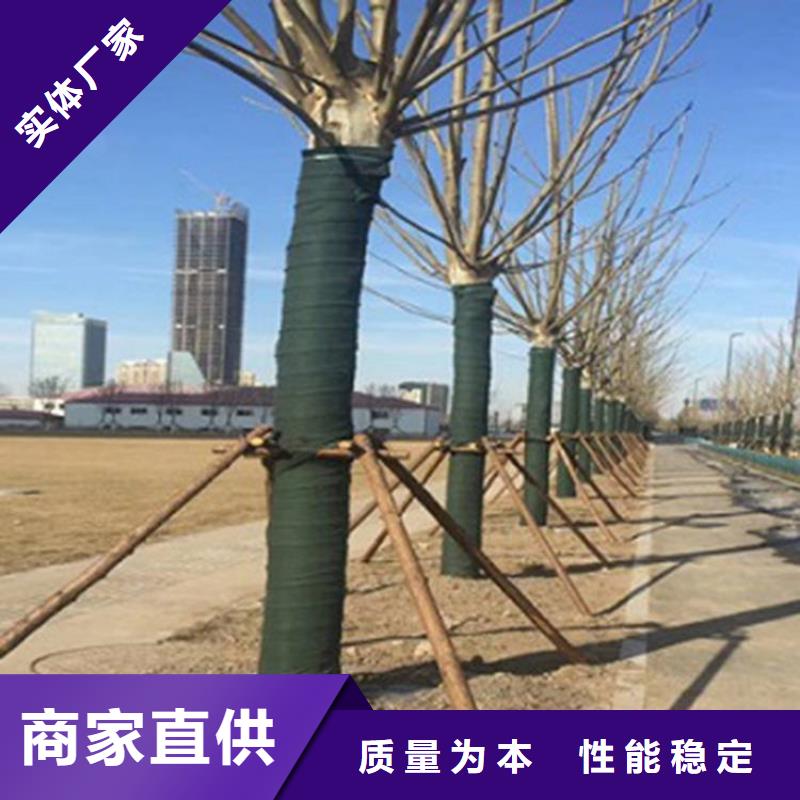 【裹树布防草布诚信经营】