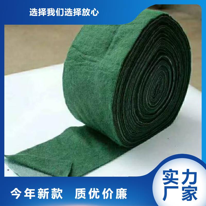 塑料盲沟-视频-青海省西宁市|湟源|湟中|海西|海东|海北|果洛塑料盲沟-鼎诺