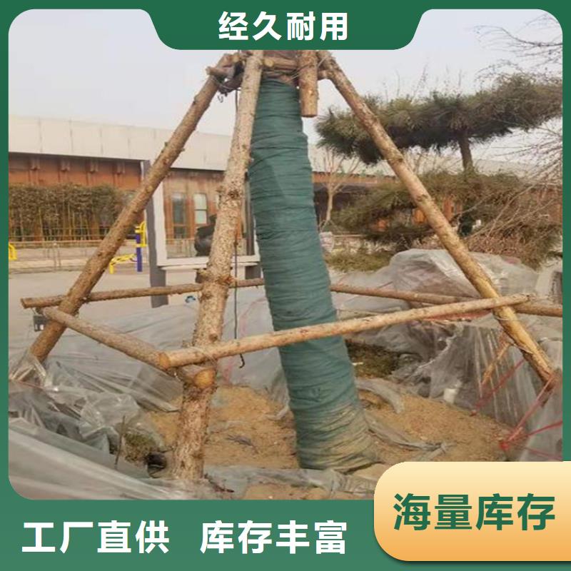 裹树布植草格用心制造
