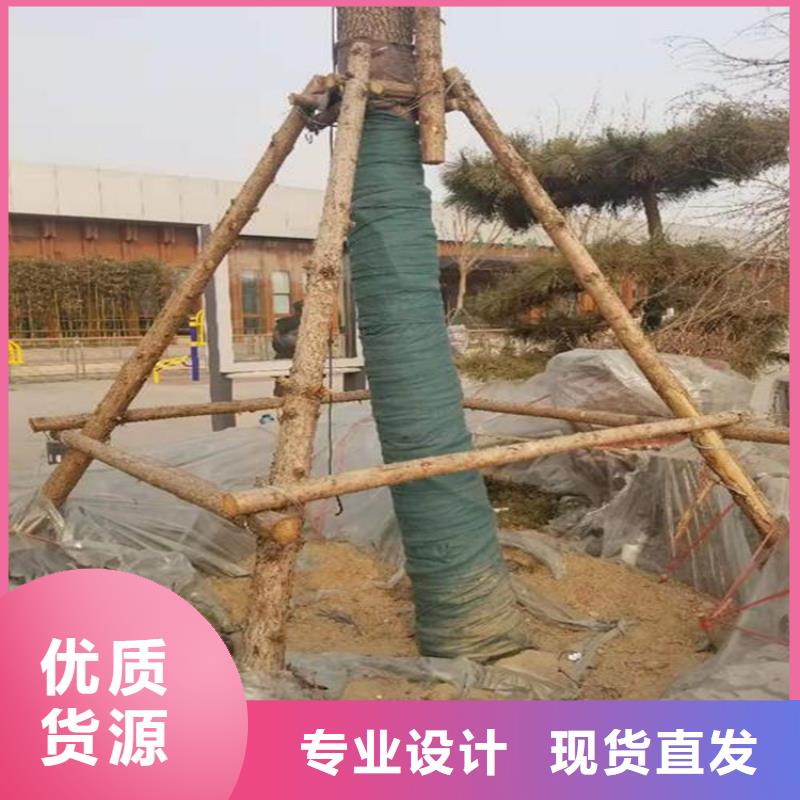 裹树布通风降噪丝网厂家供应