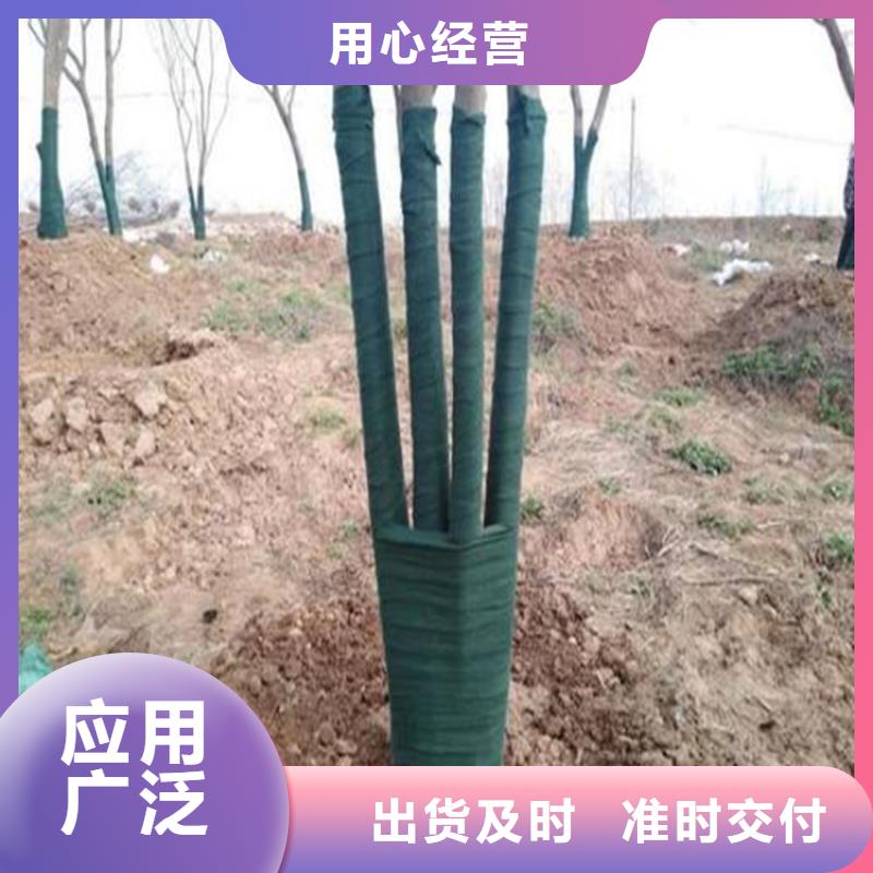 裹树布通风降噪丝网厂家供应