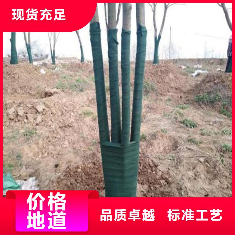 裹树布植草格用心制造