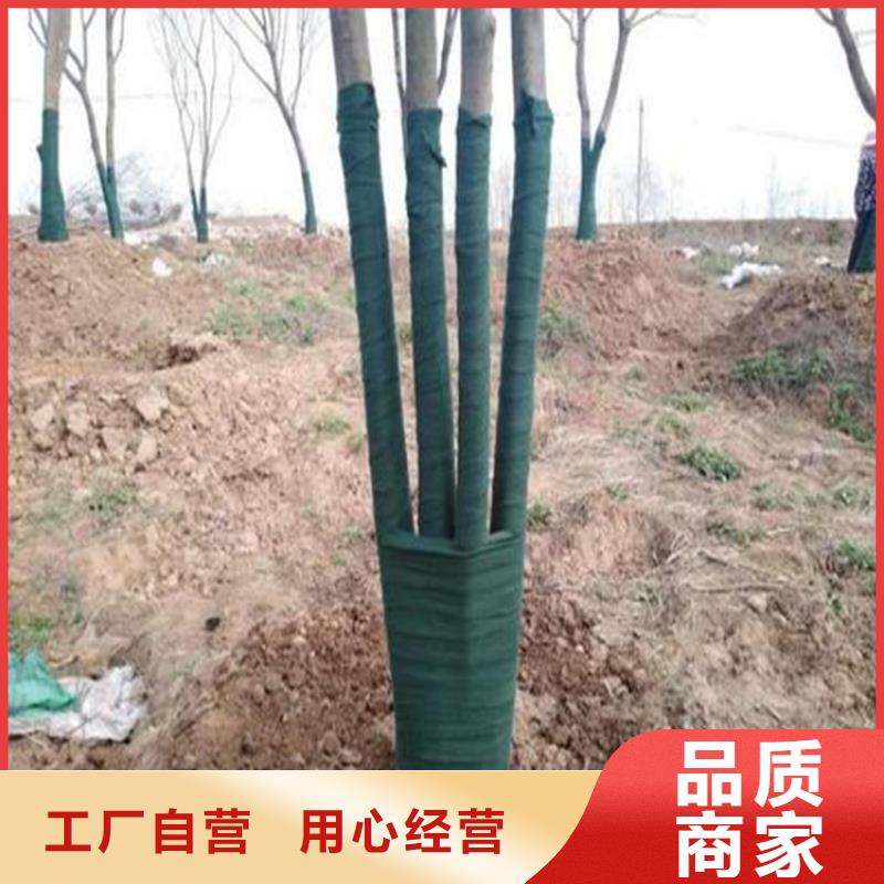 裹树布抗裂贴厂家直销大量现货