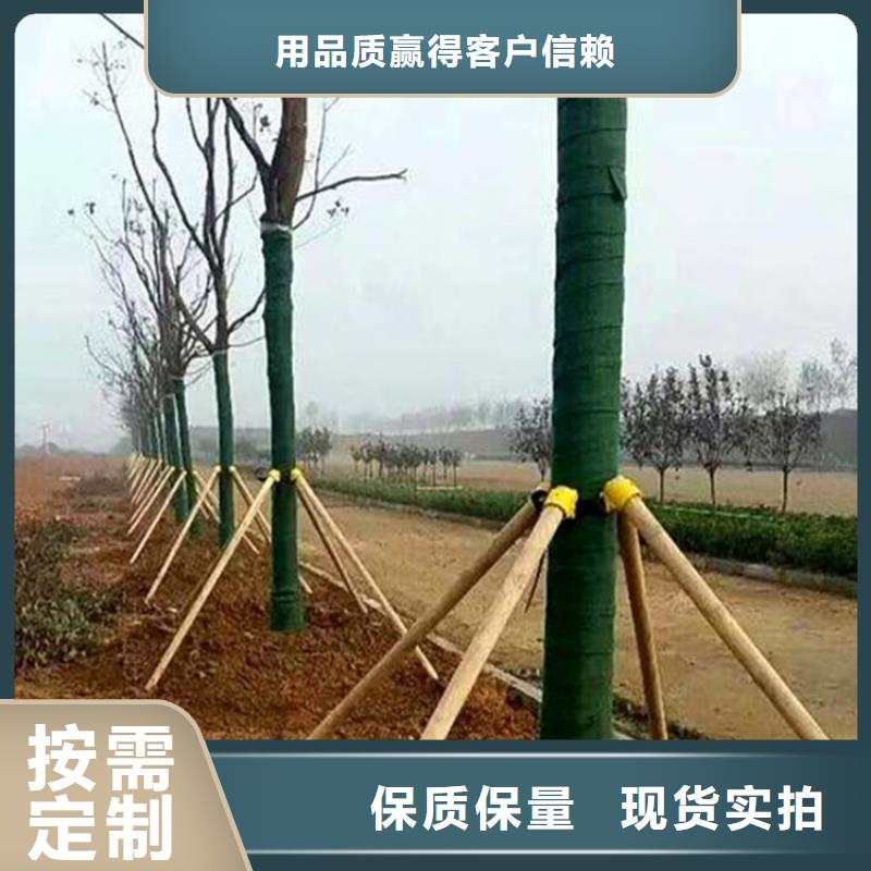 塑料盲沟-视频-青海省西宁市|湟源|湟中|海西|海东|海北|果洛塑料盲沟-鼎诺