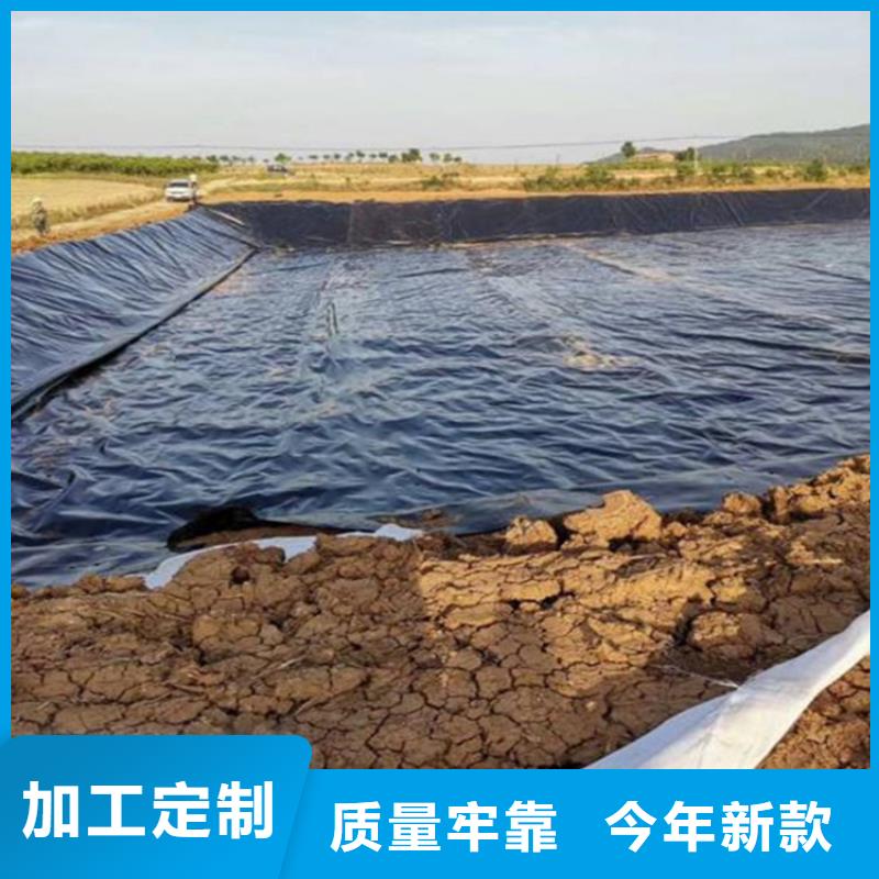 土工膜土工格栅订购