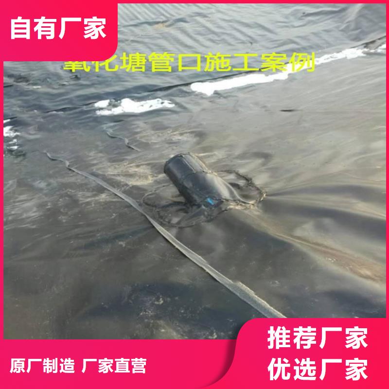 土工膜土工格栅订购