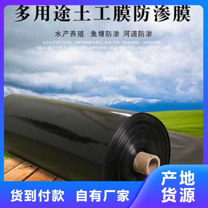 塑料盲沟-视频-乌兰察布|赤峰|包头|阿拉善|通辽|锡林郭勒塑料盲沟客户信赖的厂家-中齐建材(呼伦贝尔市分公司)