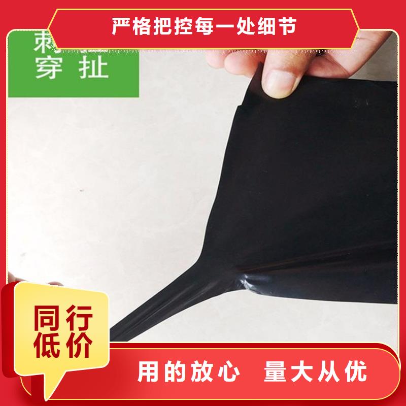 土工膜土工布品牌专营