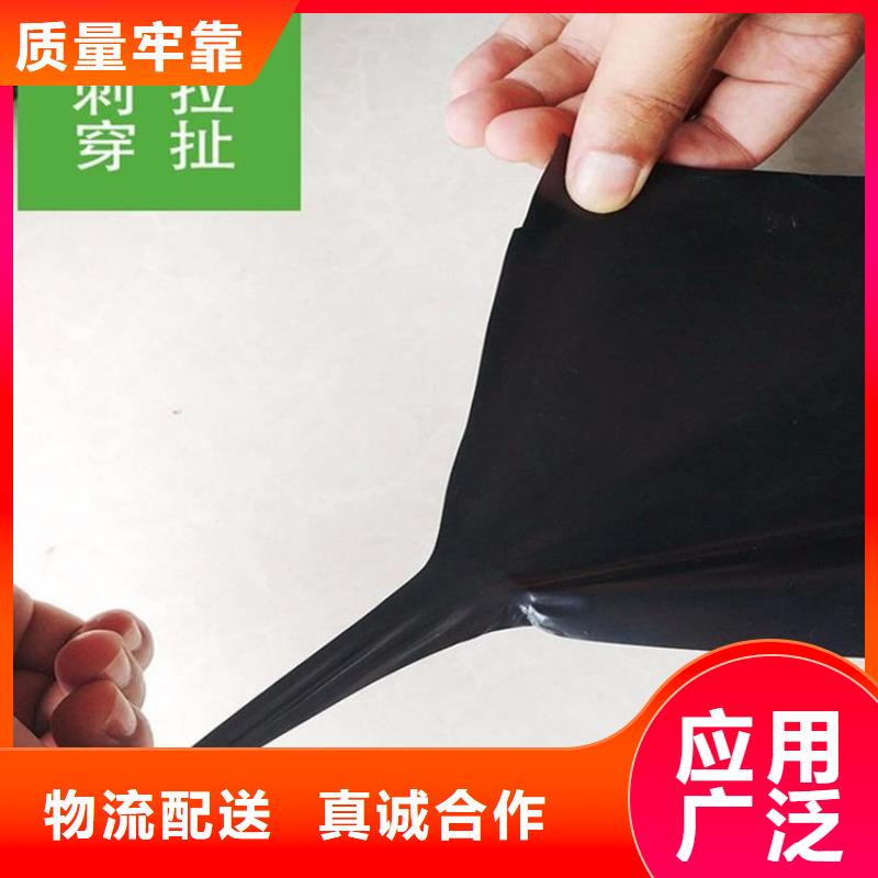 土工膜_HDPE复合排水板销售的是诚信