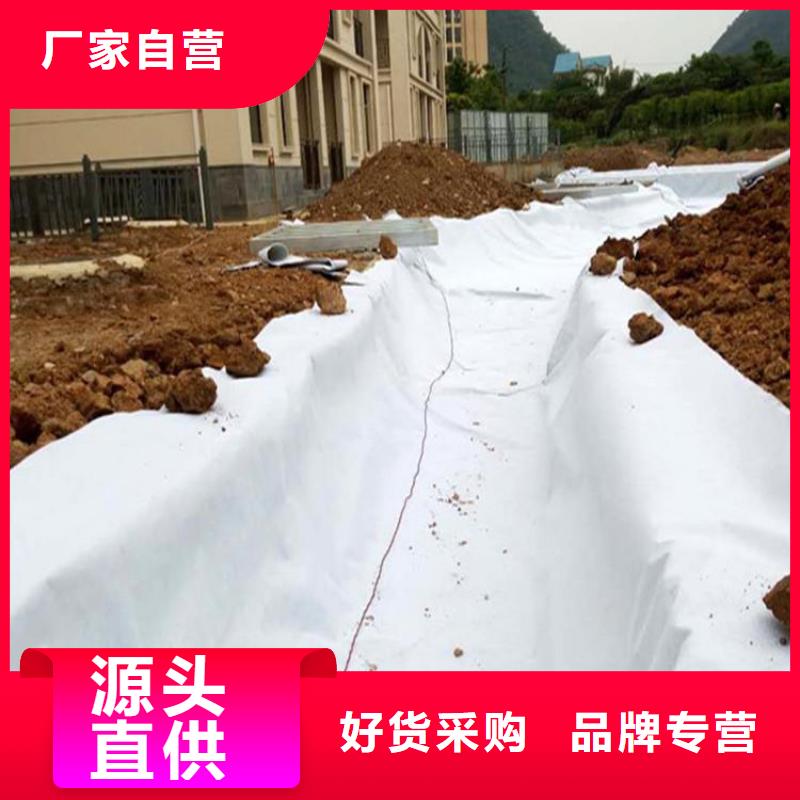塑料盲沟-视频-塑料盲沟-中齐建材(茂名市分公司)服务区域高州|茂港|珠海|东莞|广州|梅州