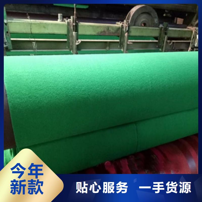 塑料盲沟-视频-陕西省商洛市|洛南|商州|铜川|榆林|安康|延安|宝鸡塑料盲沟-中齐