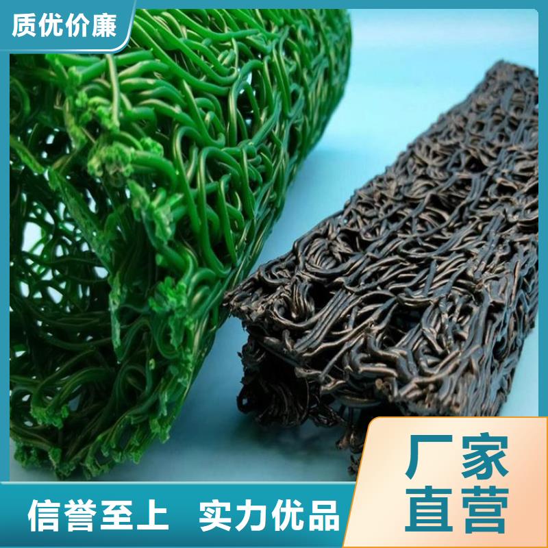 塑料盲沟通风降噪丝网现货