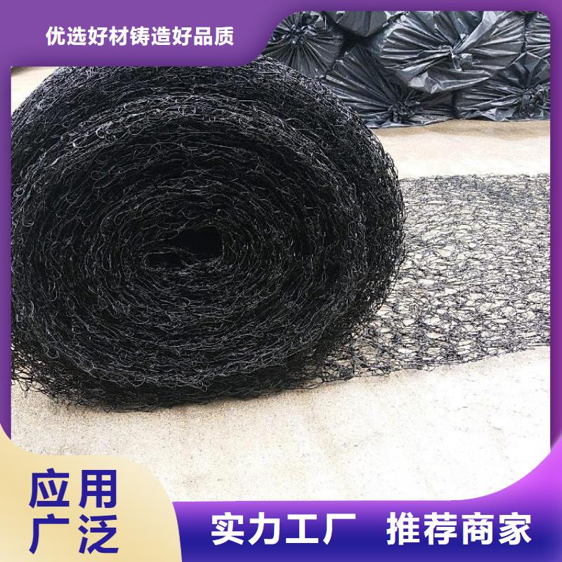通风降噪丝网土工格栅实力优品
