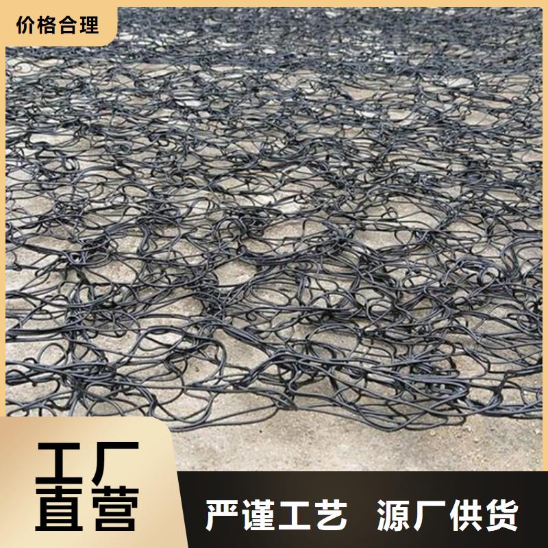 通风降噪丝网土工格栅实力优品