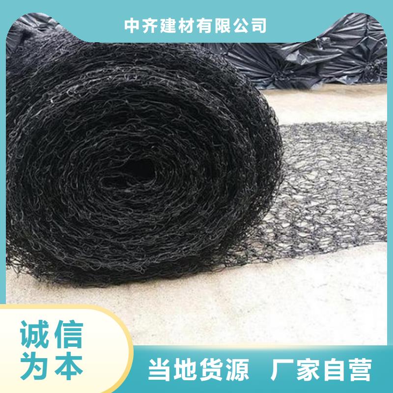 通风降噪丝网土工格栅实力优品