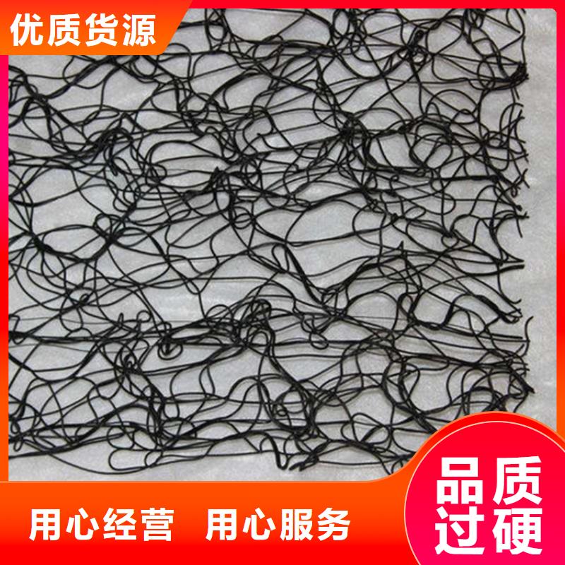 通风降噪丝网HDPE土工膜现货直供