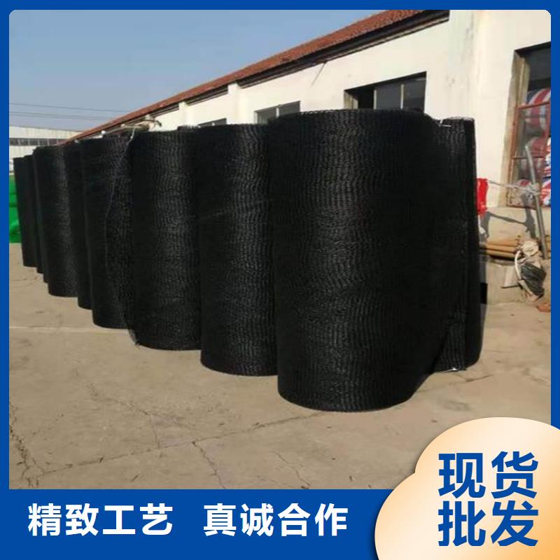 通风降噪丝网土工格栅实力优品