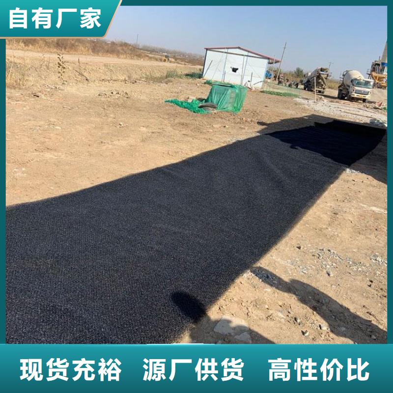 水土保护毯三维植被网精工打造