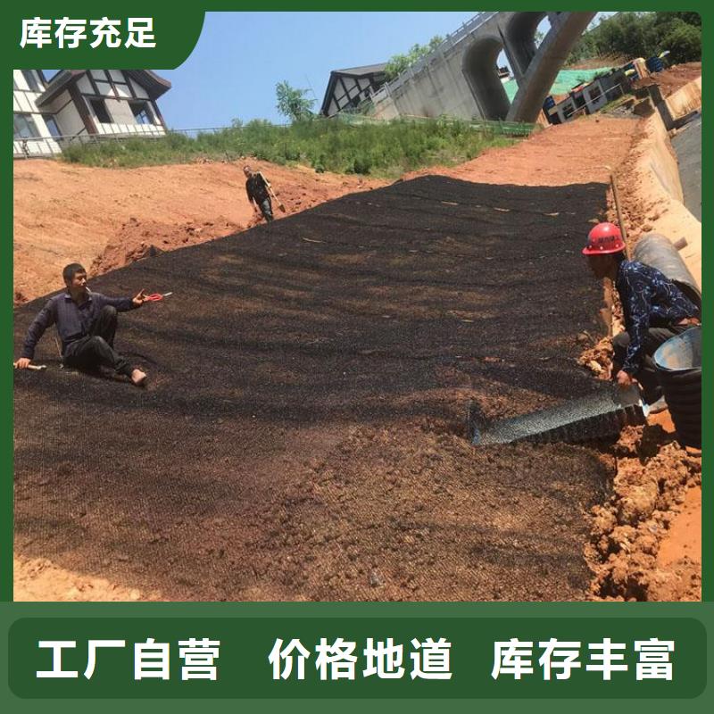 水土保护毯聚丙烯长丝土工布实力雄厚品质保障