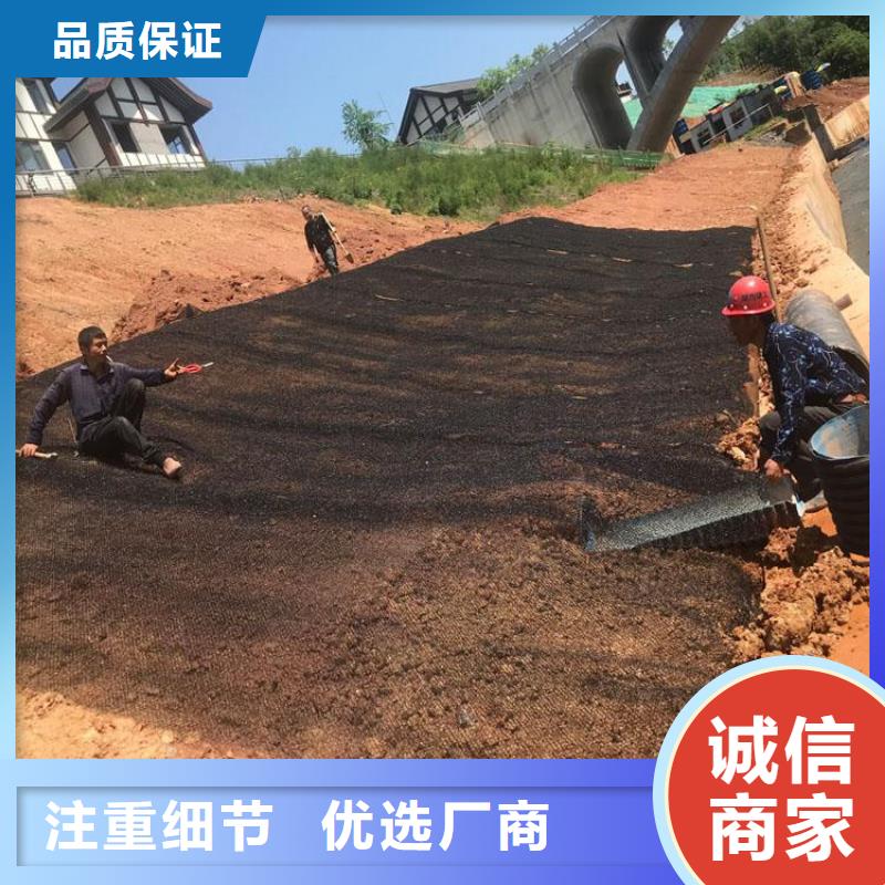 塑料盲沟-视频-河南省新乡市|长垣|卫滨|驻马店|商丘|信阳|洛阳|安阳塑料盲沟-中齐