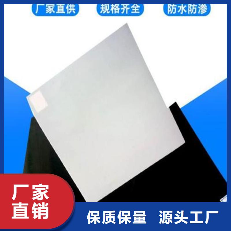 防水板钢塑土工格栅款式多样