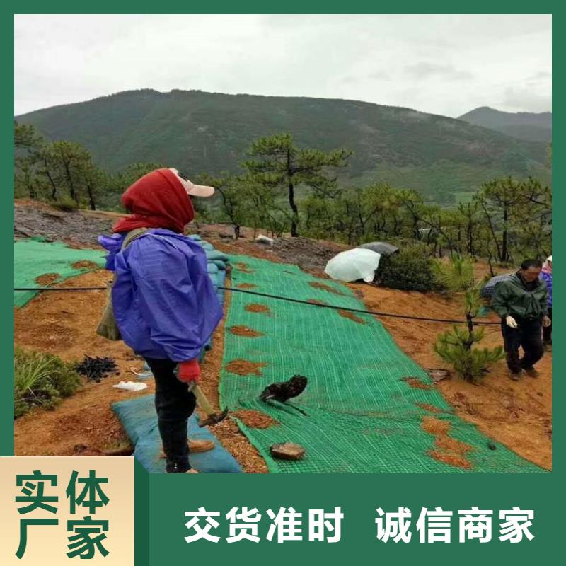 塑料盲沟视频-塑料盲沟|朔州市|应县|朔城|晋城|吕梁|忻州|大同|运城|晋中