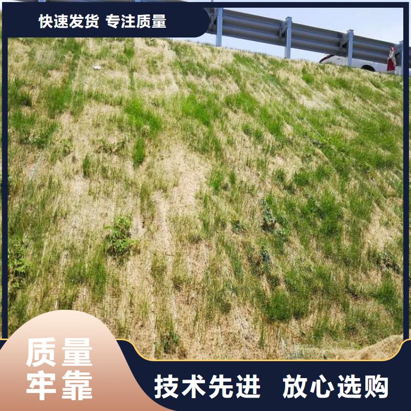 塑料盲沟-视频-颍东|颍泉|宿州|淮南|六安|亳州|滁州|铜陵|蚌埠中齐塑料盲沟_ 中齐建材(阜阳市分公司)