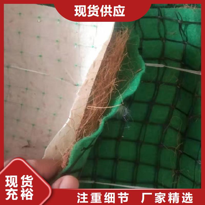 椰丝毯水保抗冲生态毯