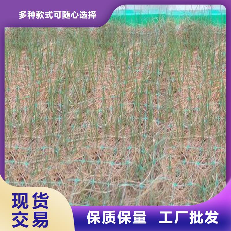 塑料盲沟视频-塑料盲沟|朔州市|应县|朔城|晋城|吕梁|忻州|大同|运城|晋中