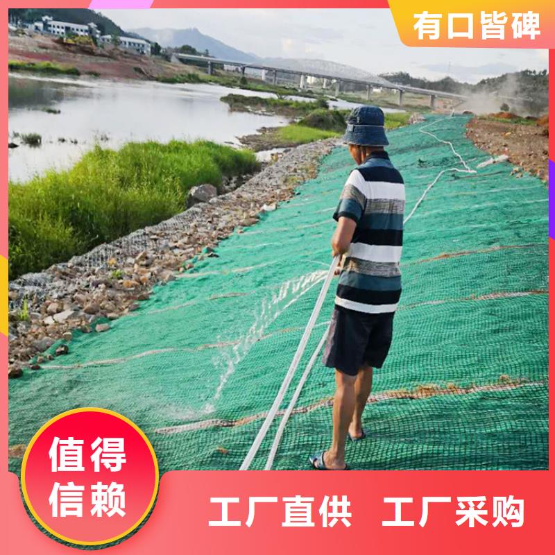 塑料盲沟-视频-塑料盲沟|齐齐哈尔市|克山|建华|大兴安岭|鹤岗|大庆|牡丹江|黑河