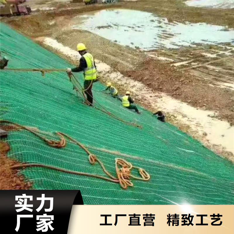 椰丝毯塑料盲沟厂家定制