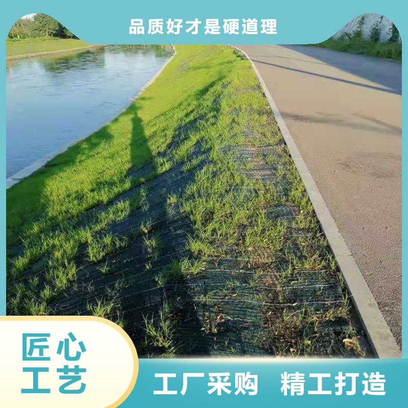 塑料盲沟-视频-颍东|颍泉|宿州|淮南|六安|亳州|滁州|铜陵|蚌埠中齐塑料盲沟_ 中齐建材(阜阳市分公司)