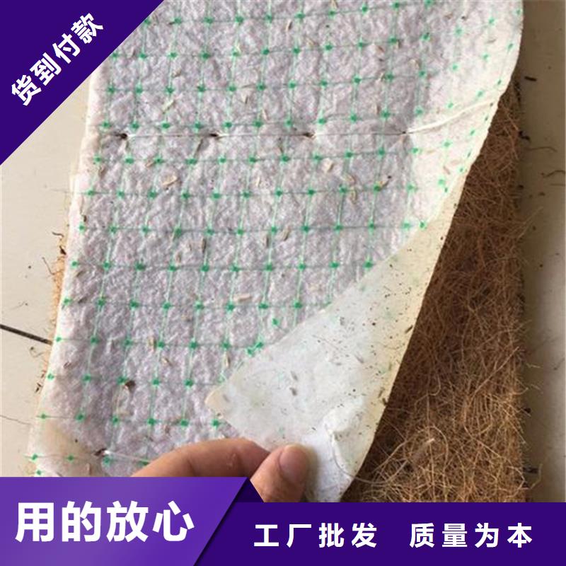 塑料盲沟-视频-颍东|颍泉|宿州|淮南|六安|亳州|滁州|铜陵|蚌埠中齐塑料盲沟_ 中齐建材(阜阳市分公司)