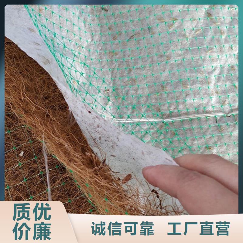 塑料盲沟-视频-颍东|颍泉|宿州|淮南|六安|亳州|滁州|铜陵|蚌埠中齐塑料盲沟_ 中齐建材(阜阳市分公司)