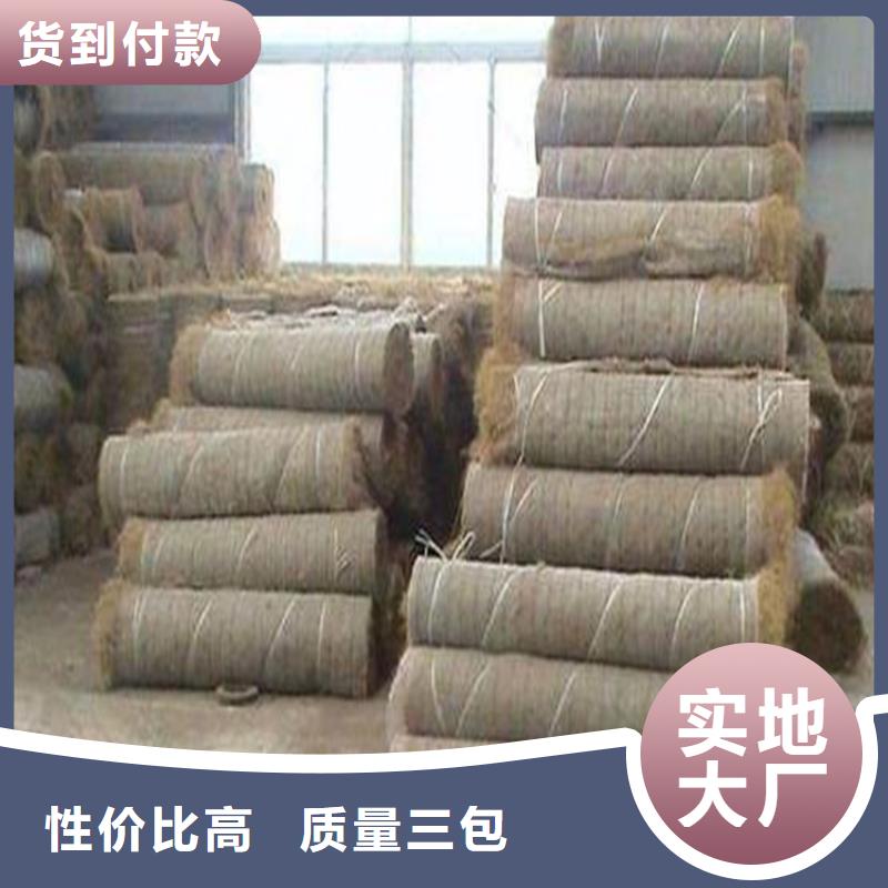 椰丝毯水保抗冲生态毯