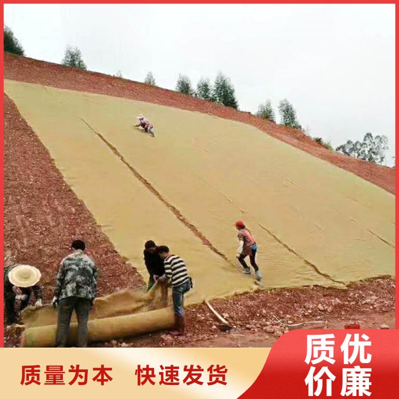 椰丝毯土工膜价格实惠