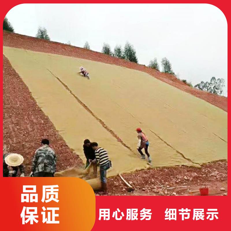 护坡生态草毯加筋抗冲生态毯