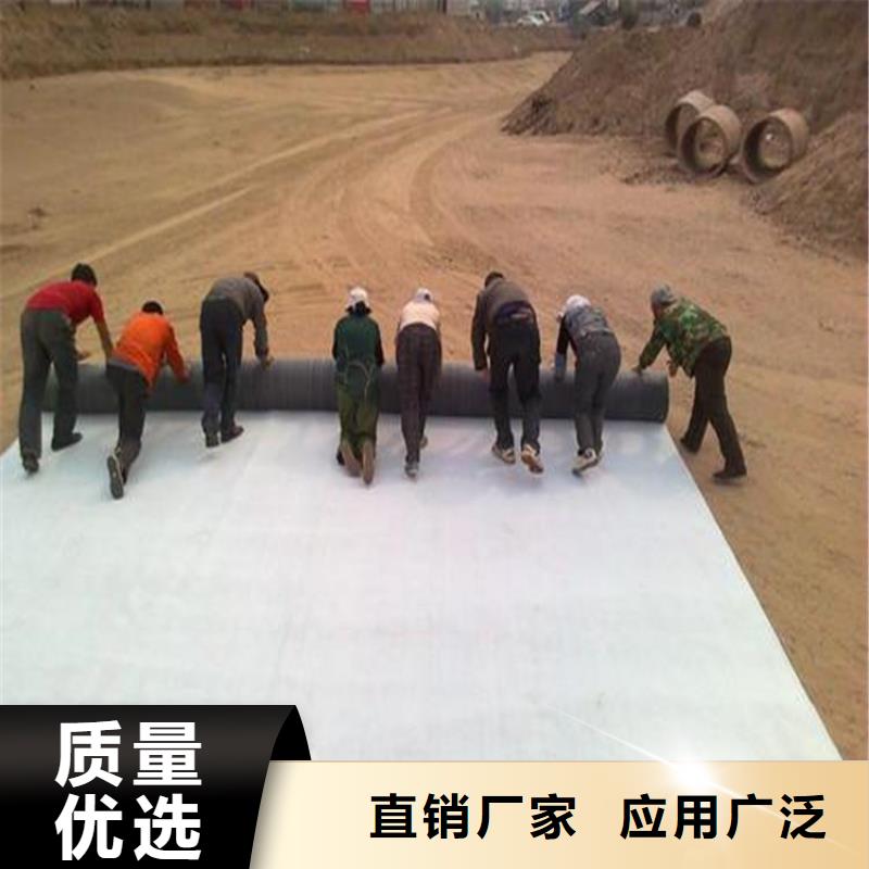 膨润土防水毯软式透水管质优价廉