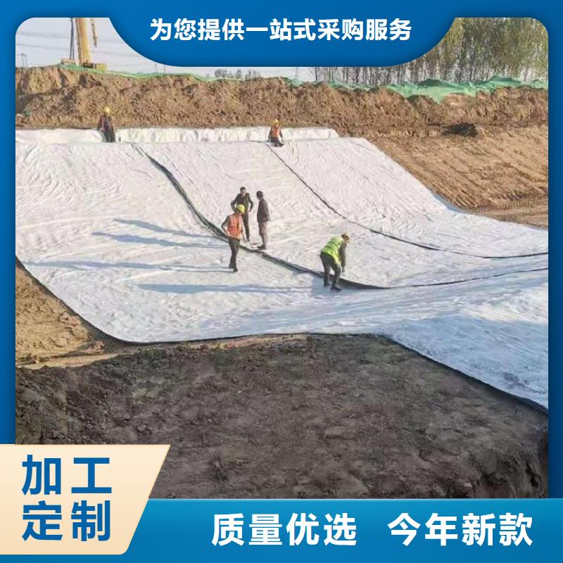 膨润土防水毯土工膜批发货源