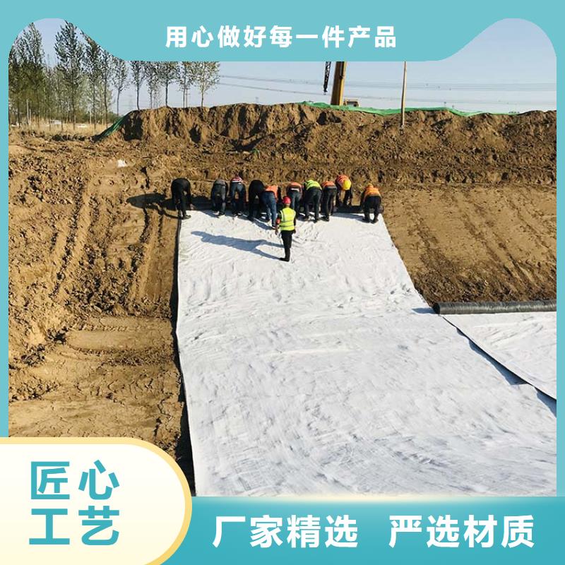 膨润土防水毯土工膜批发货源