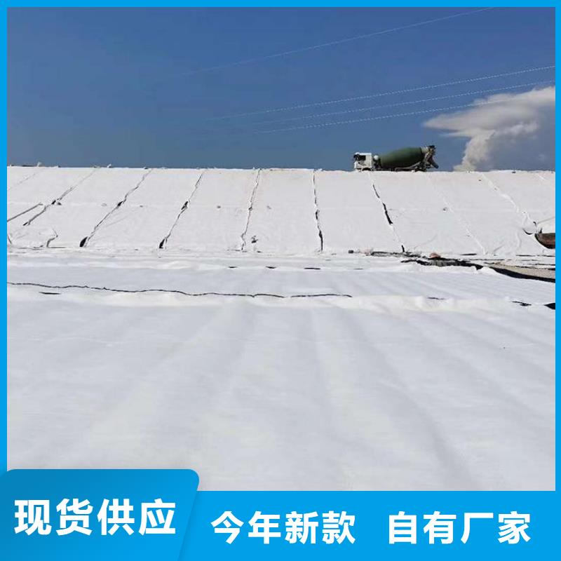 膨润土防水毯软式透水管质优价廉