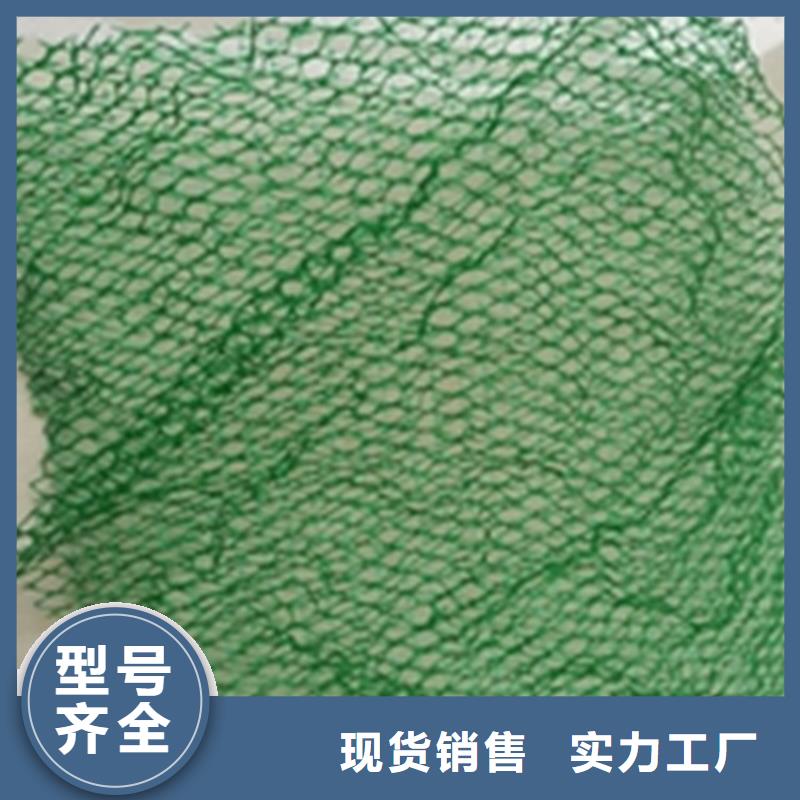 塑料盲沟-视频-塑料盲沟(中齐)覆盖地域河南省濮阳市台前|华龙|平顶山|洛阳|南阳|鹤壁|周口|新乡|安阳