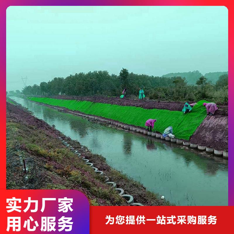 【三维植被网波纹管懂您所需】