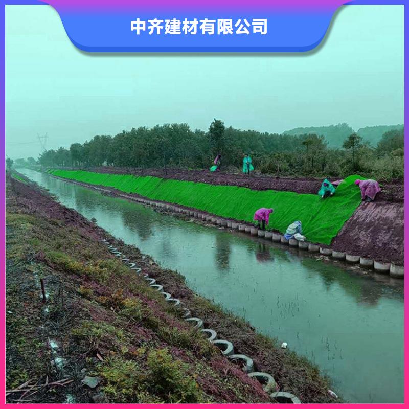 三维植被网防渗膜大厂生产品质