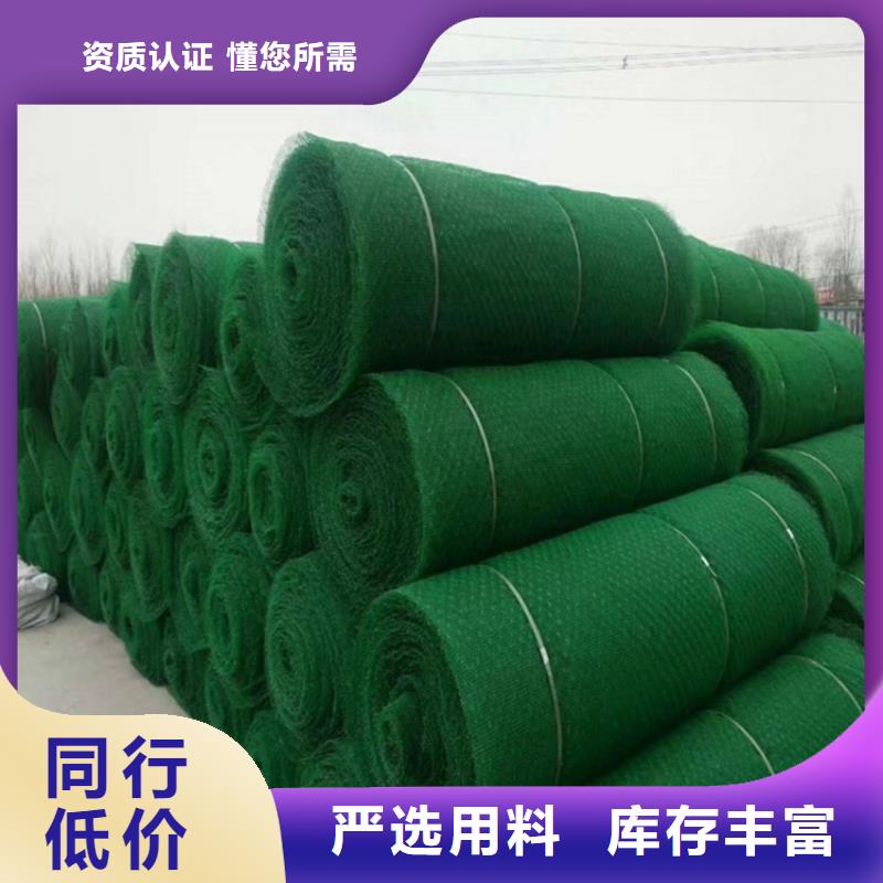 三维植被网土工布值得买