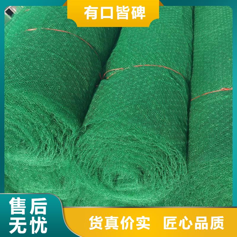 三维植被网土工布值得买